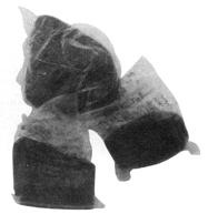 �c���鿴�����DƬ