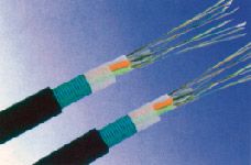 �c���鿴�����DƬ